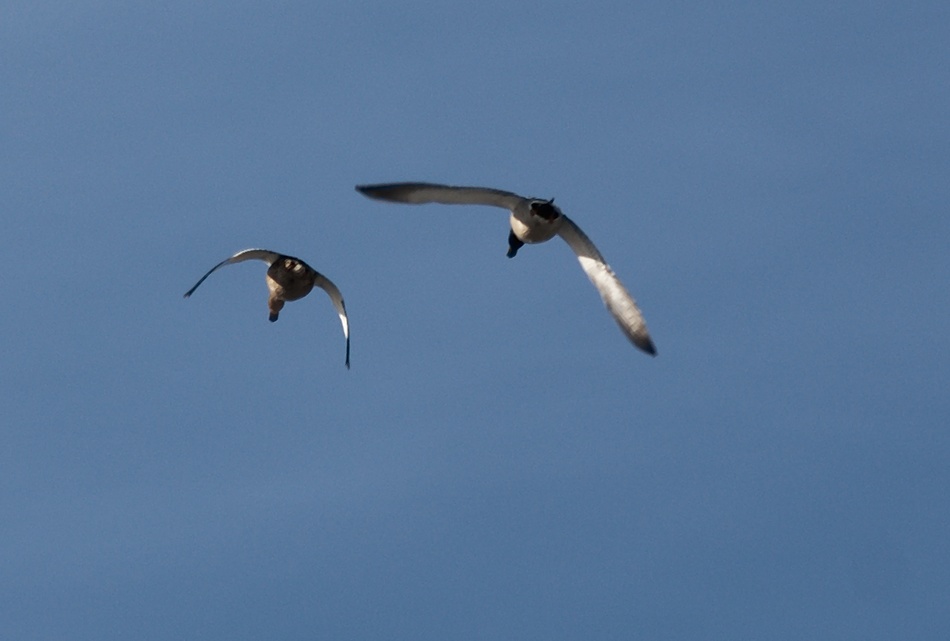 Es ist Zeit - letzten