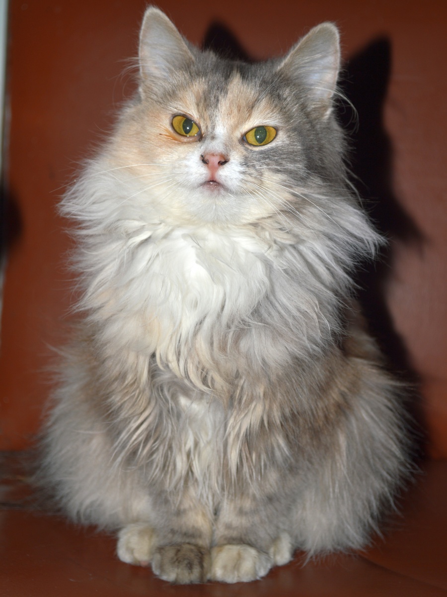 Das ist, was es ist.