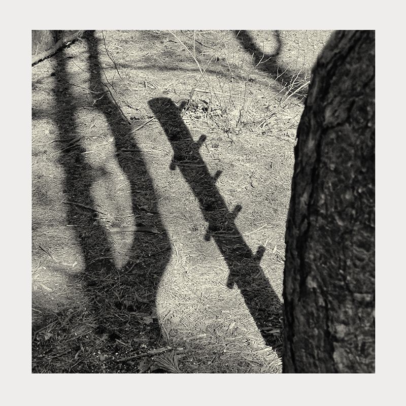 Simulation, in Doppel