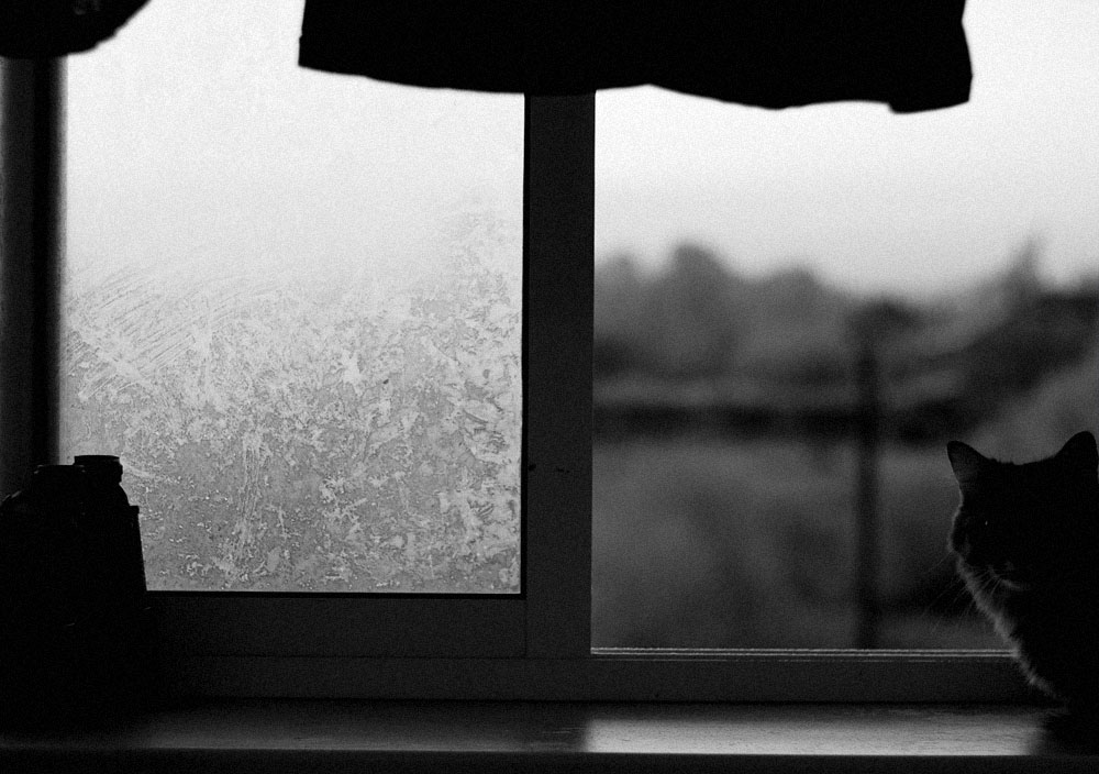 Winter, Fenster, Morgendämmerung ...