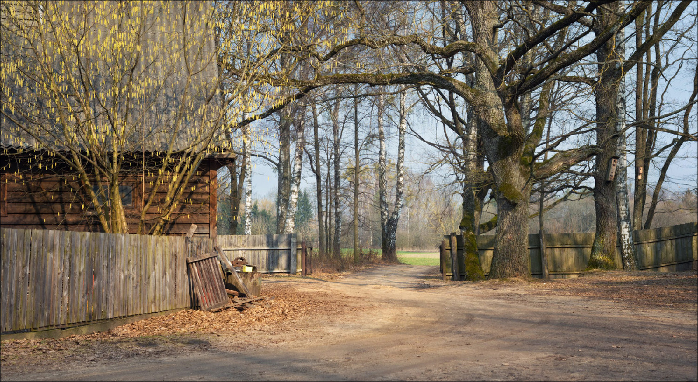 / Bialowieza stories /