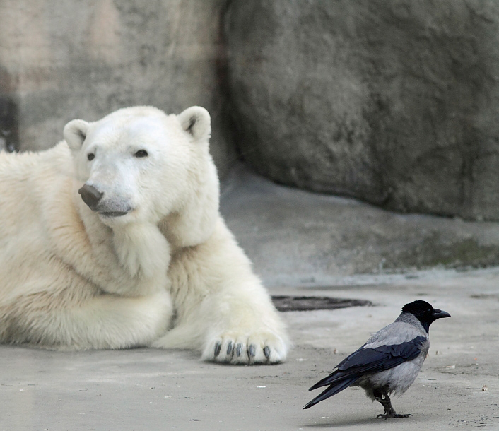 Regierung und Opposition