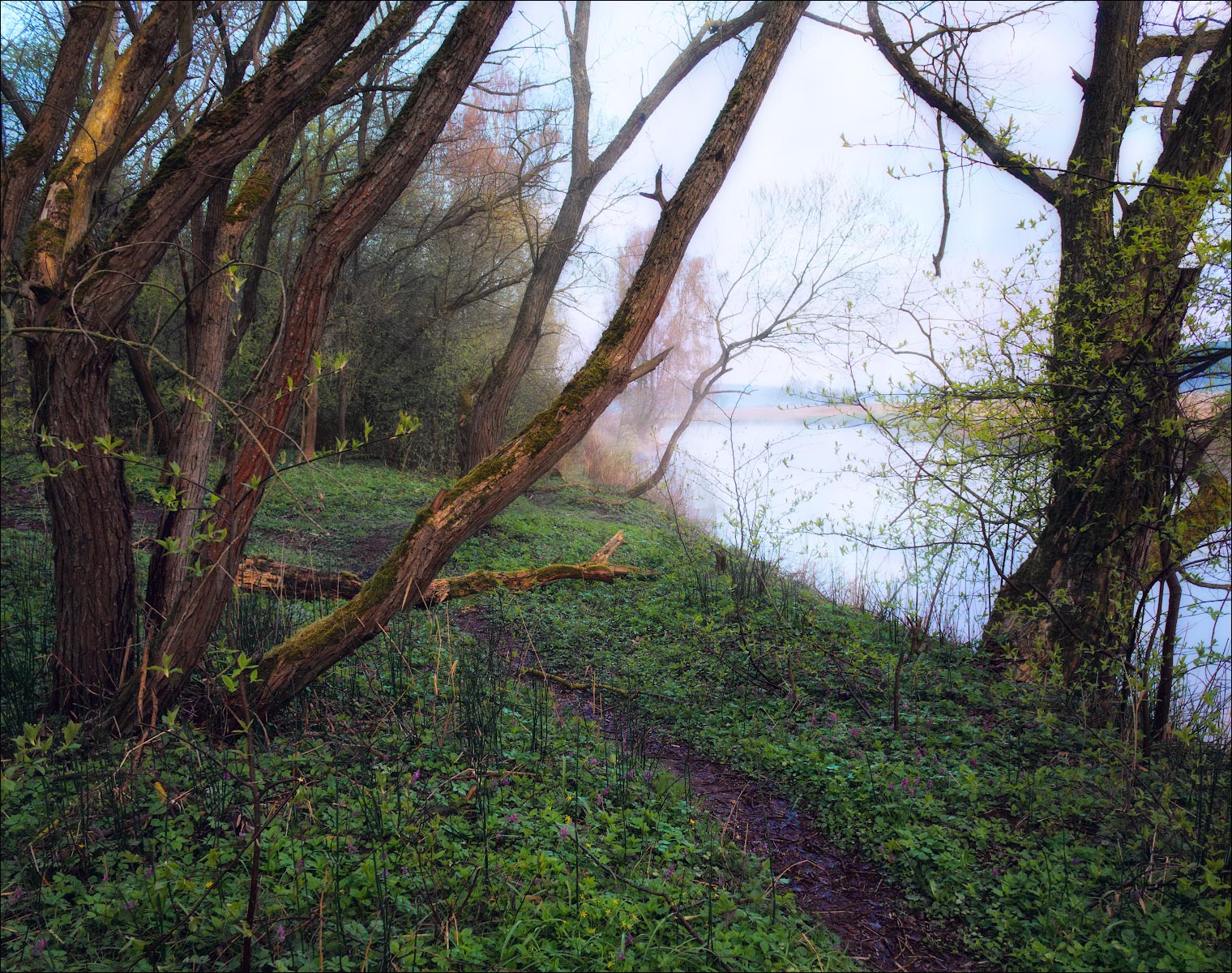 Kontraste nassen Frühlingsmorgen