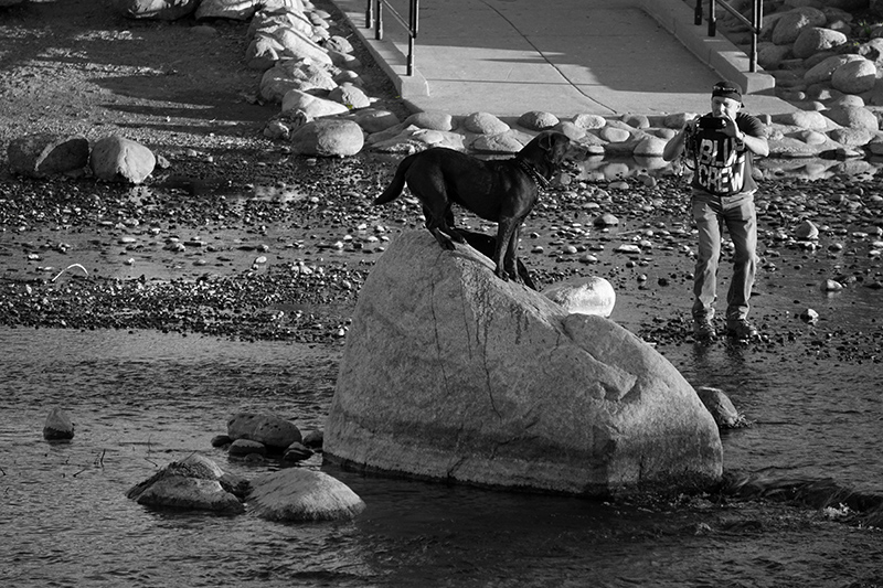 Fotograf klickt und ...