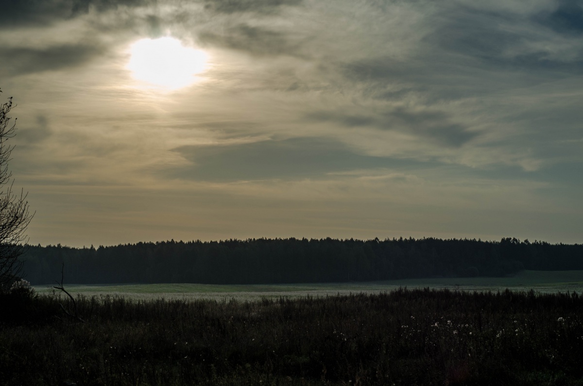 Es muss jemand sein,