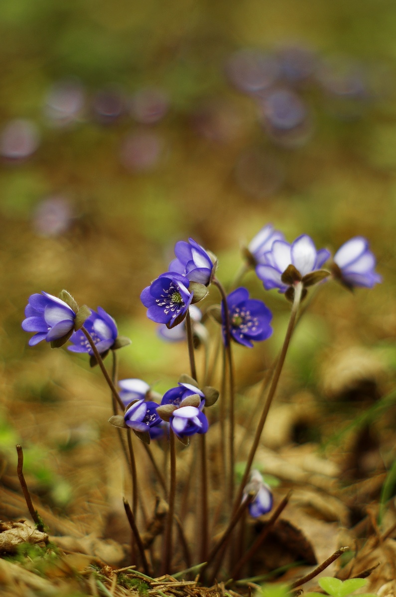 Conversations ........