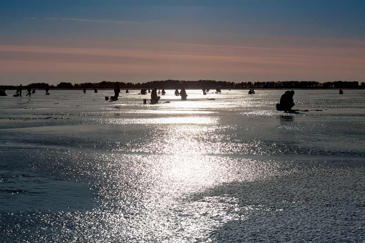 Gefangen werden, Fisch ...