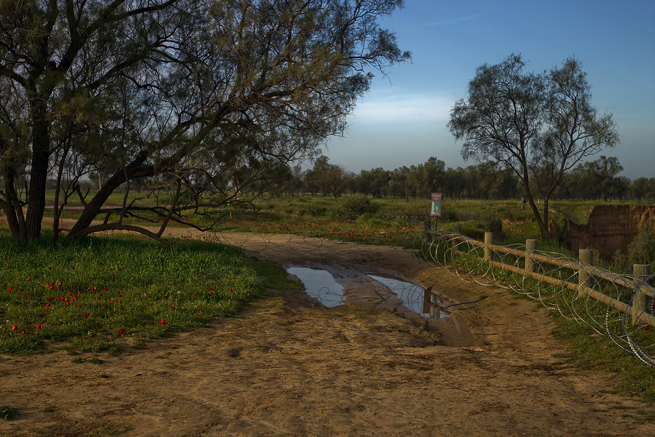Und in der neutralen Zone Blumen ...