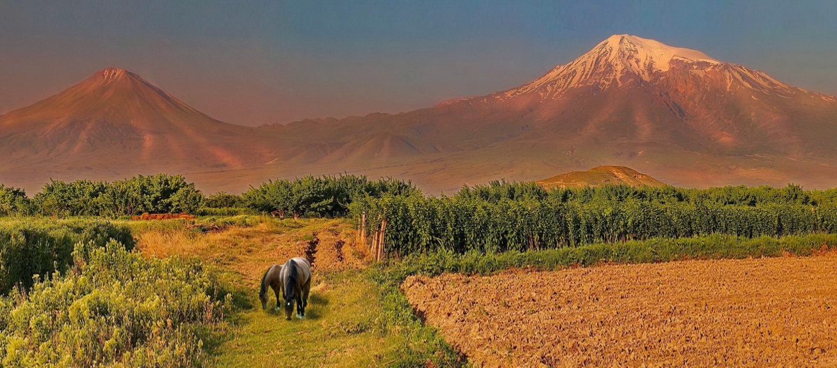 Morgen im Ararat-Tal