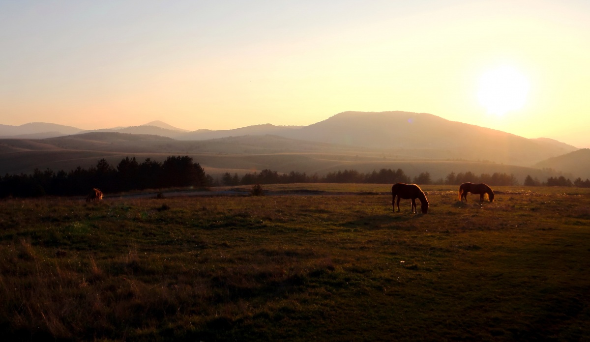 In den Hügeln von Serbien