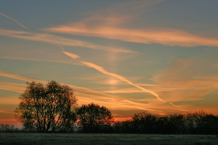 Konferenz im Herbst rasvety