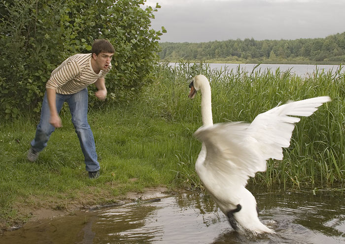 My-See, nein, meine ..