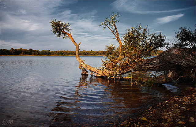 Am Ufer dieses ruhigen Fluss (2)