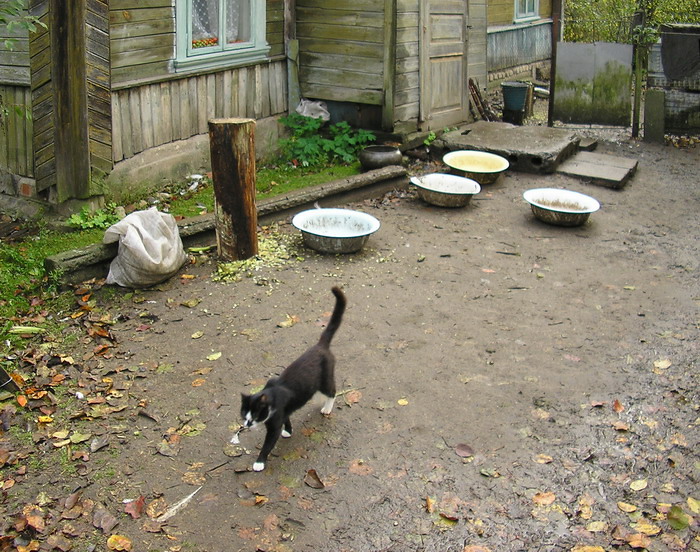 Wieder nichts gebracht ...