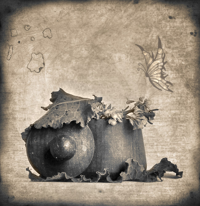 Angst hat große Augen