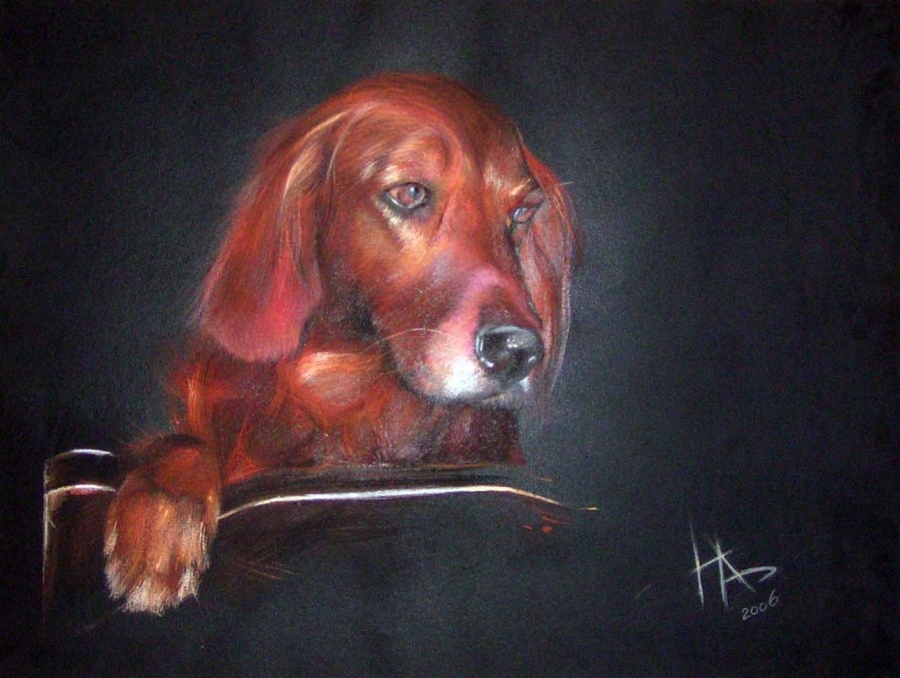 Das Bild wird (schon)