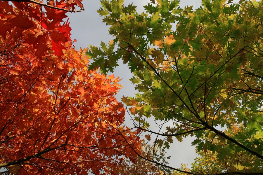 Sommer-Herbst Saison.