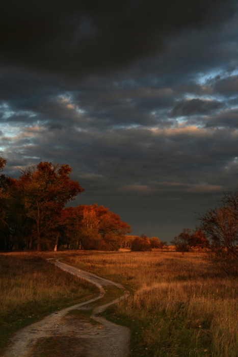 Herbstlandschaft in den roten Zahlen.