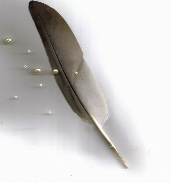 la tendresse serieux