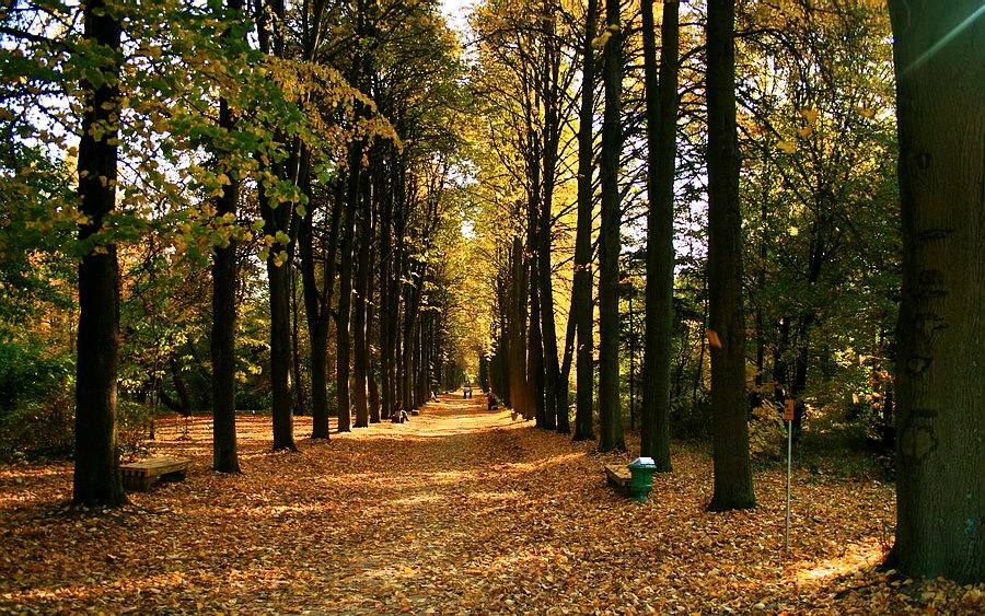 Alley 2 (Botanischer Garten)