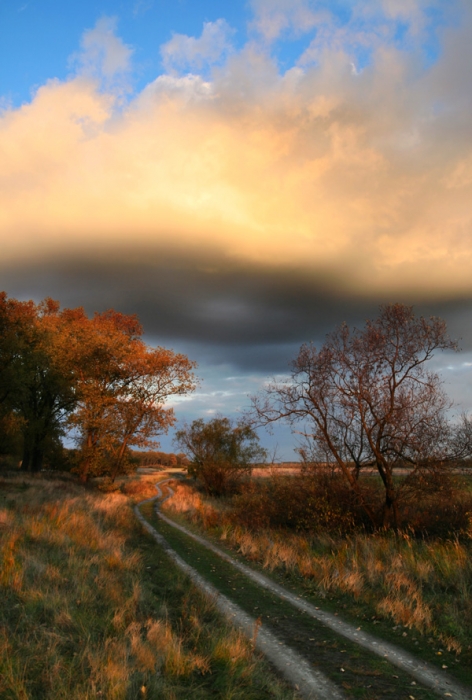 Herbstlandschaft mit brennenden Gras.