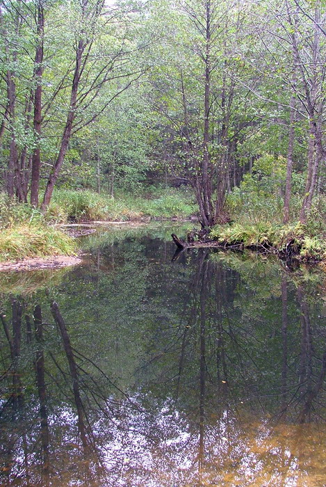 geliebt Landschaften