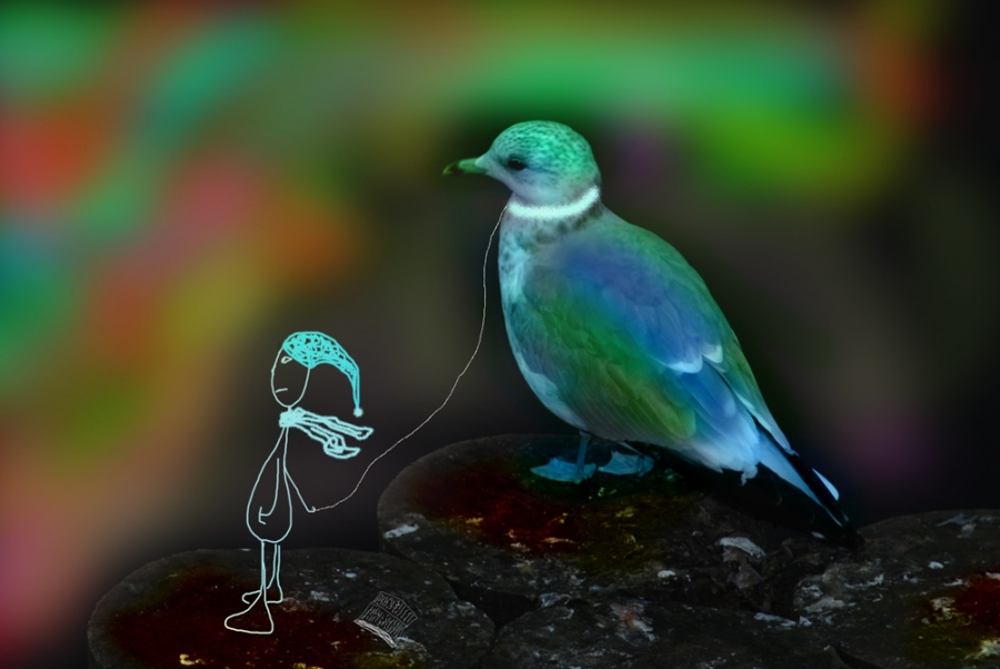 Über die Reise zum Vogel des Glücks und der verlassenen Blog ..