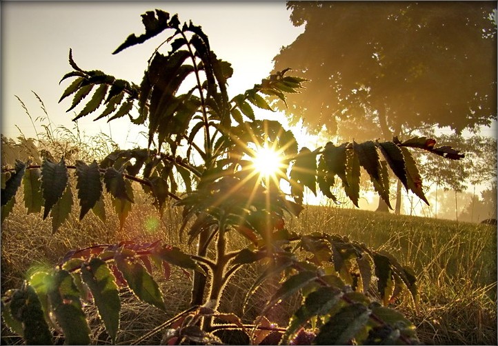 getaya taemnaya Gebäude - sumak