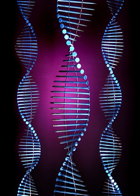 dna