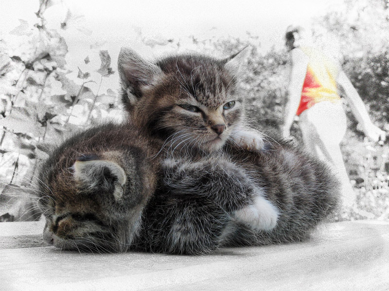 ... Dreieck von Einsamkeit ...