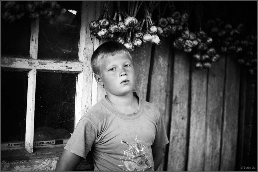 Porträt von Knoblauch