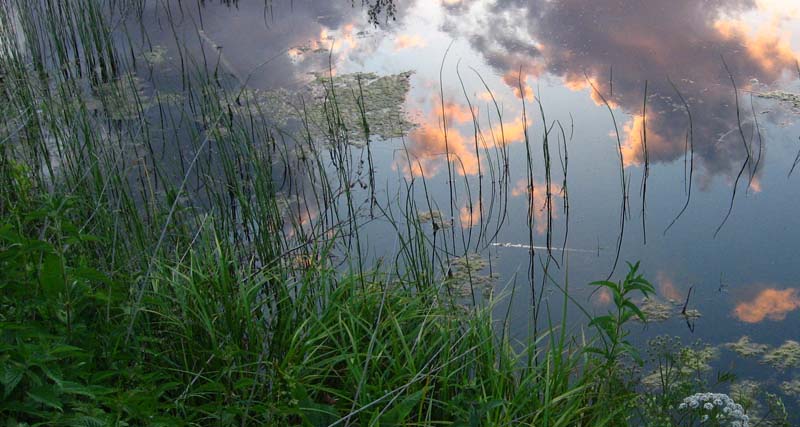 Sonnenuntergang und das alte Teich