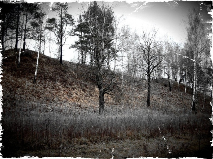 Das Schweigen der Hügel.