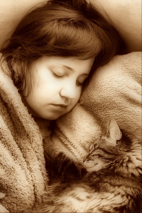 Schlafen Spielzeug ...