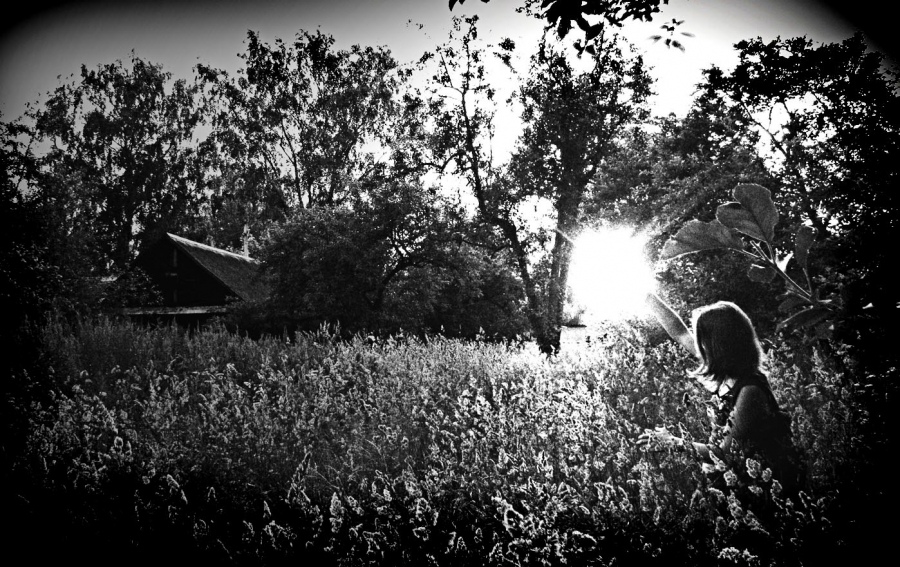 bleiben bis zum letzten