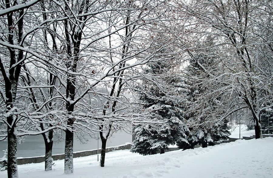 White Tentakeln des Winters