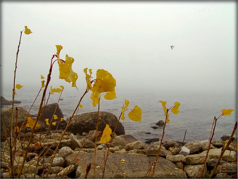 "Du yashche dachakatstsa Viasna ..."