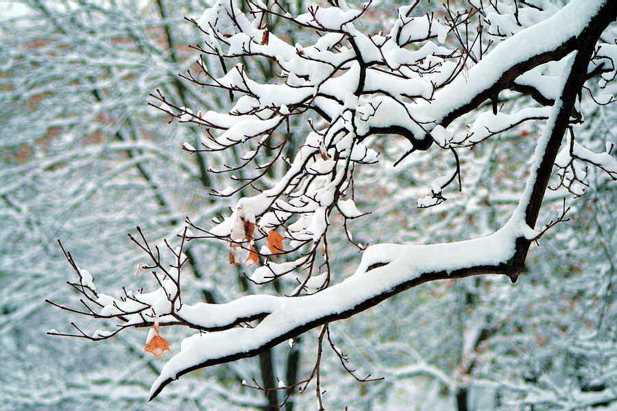 Detail der Außenseite des Winters