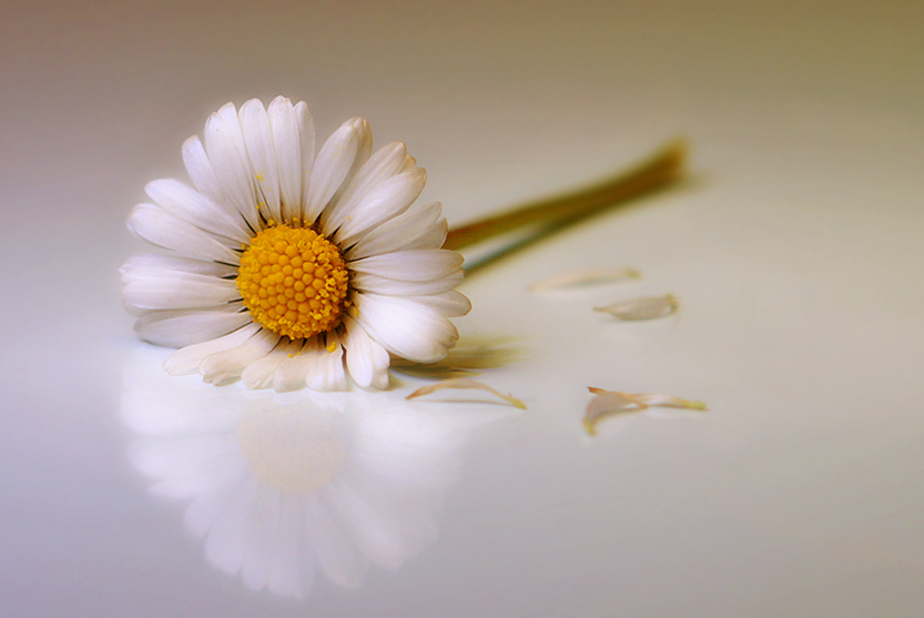 Und es war eine ......