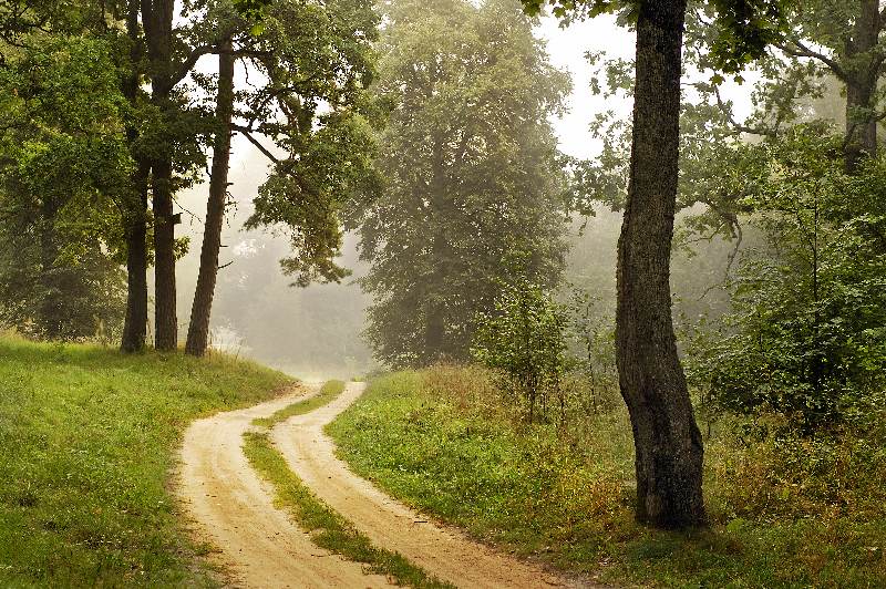 Nebligen Morgen des Jahres 2007