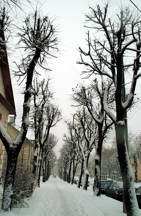 Knorrigen Händen von Straßen ...