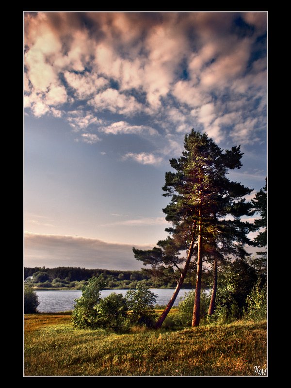 Am vergangenen Sommer
