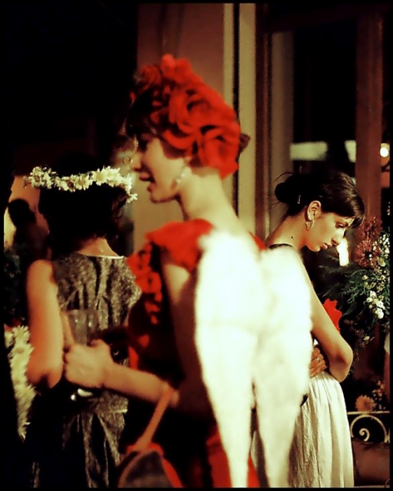 daisy.. angel.. rose