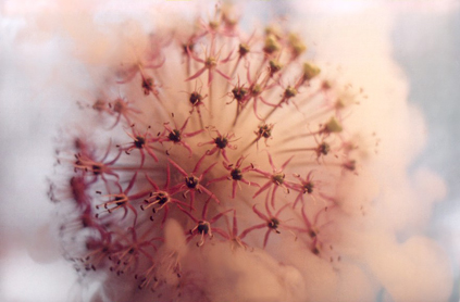 Die Geschichte des Himmels ...