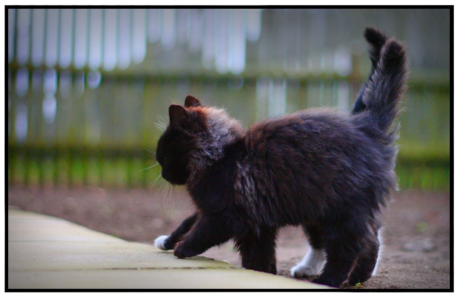 und du sollst bei mir sein?
