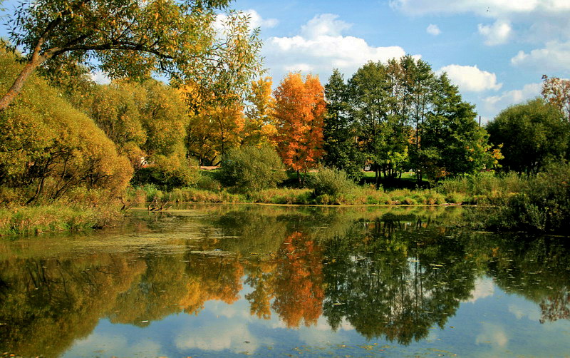 Alle Farben des Herbstes ...