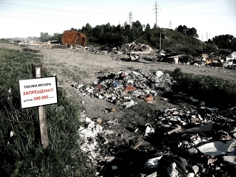 Schönheit rettet die Welt