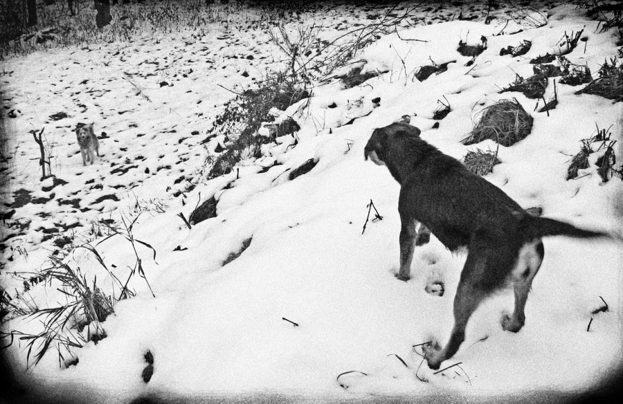 Ich erinnere mich an einen wunderbaren Moment ...