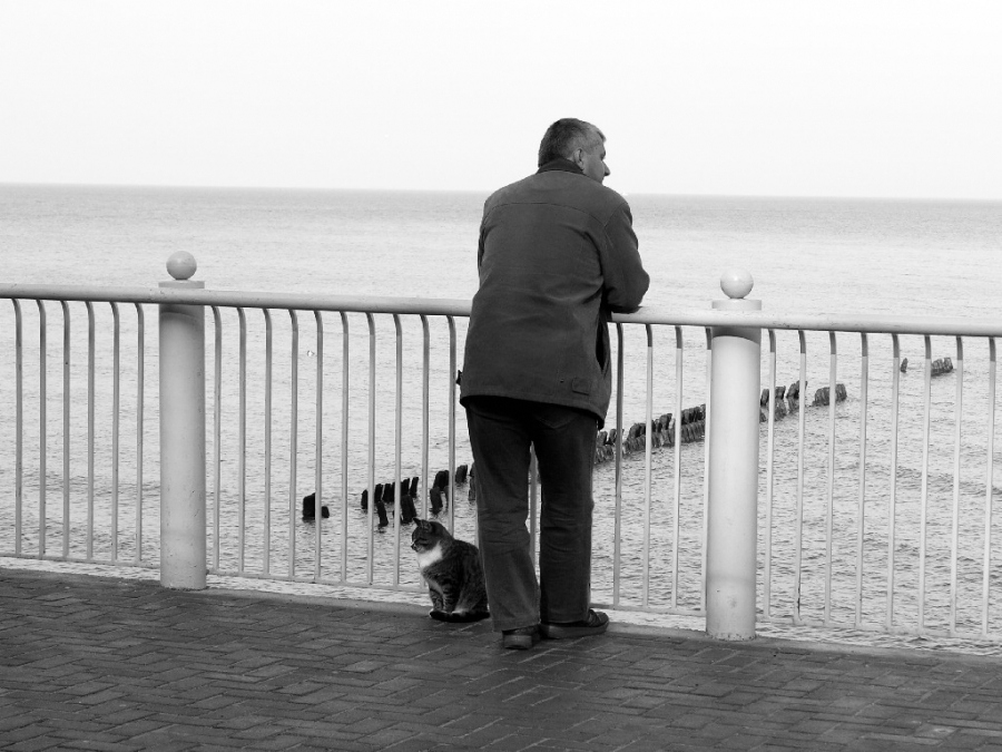 Sie ist nicht gekommen