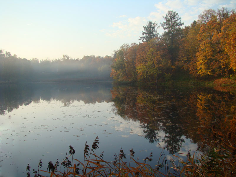Lake Nebel